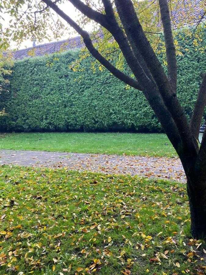 Apartaments Rîşnov Esterno foto